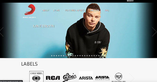 why wordpress sony